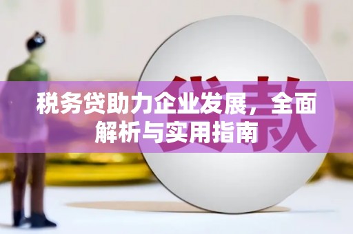 后龙税务贷助力企业发展，全面解析与实用指南