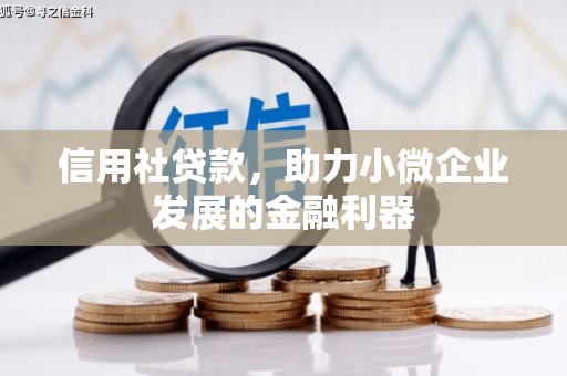 后龙信用社贷款，助力小微企业发展的金融利器
