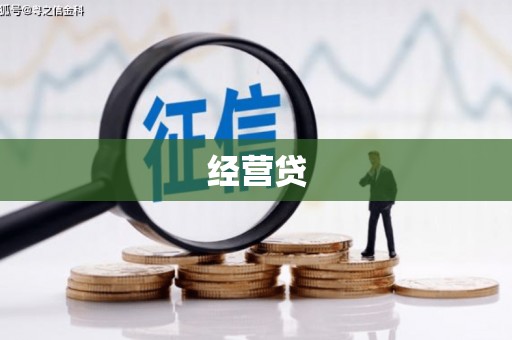 后龙经营贷