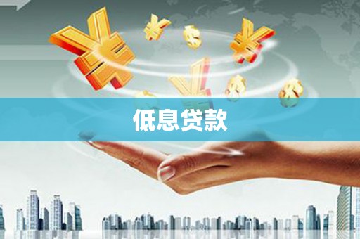 后龙低息贷款