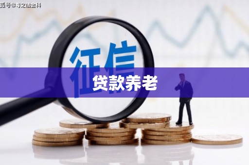 后龙贷款养老