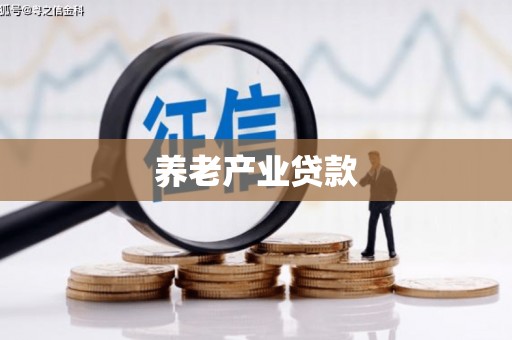后龙养老产业贷款