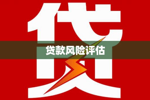 后龙贷款风险评估