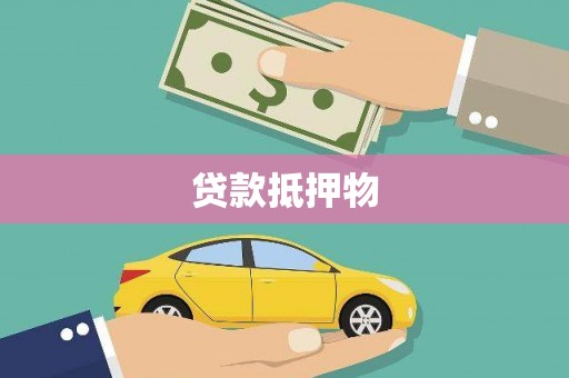 后龙贷款抵押物