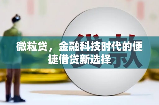 后龙微粒贷，金融科技时代的便捷借贷新选择
