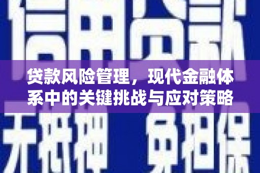 后龙贷款风险管理，现代金融体系中的关键挑战与应对策略