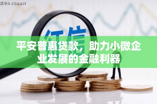后龙平安普惠贷款，助力小微企业发展的金融利器