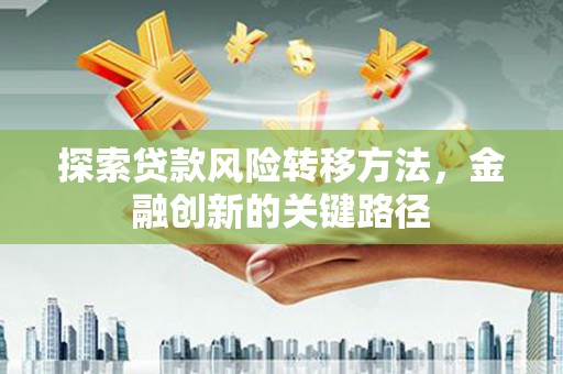 后龙探索贷款风险转移方法，金融创新的关键路径