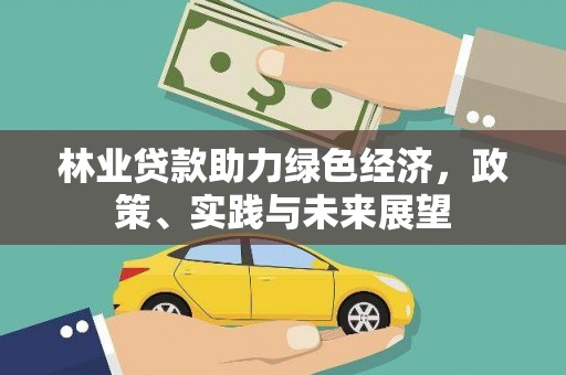 后龙林业贷款助力绿色经济，政策、实践与未来展望