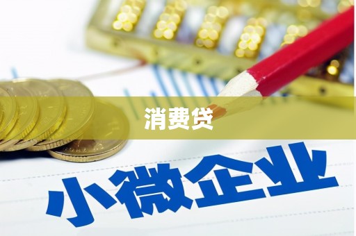 后龙消费贷