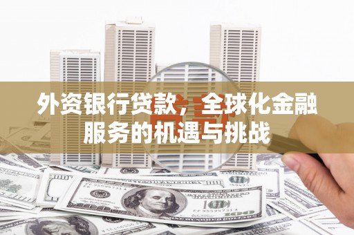 后龙外资银行贷款，全球化金融服务的机遇与挑战
