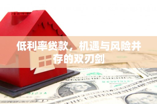 后龙低利率贷款，机遇与风险并存的双刃剑