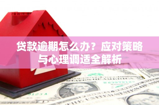 后龙贷款逾期怎么办？应对策略与心理调适全解析