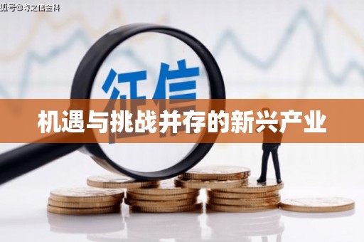 后龙机遇与挑战并存的新兴产业