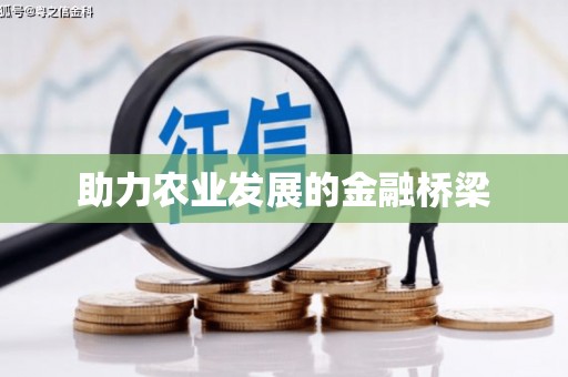 后龙助力农业发展的金融桥梁