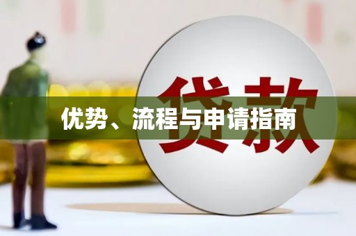 后龙优势、流程与申请指南