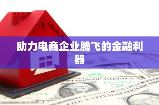 后龙助力电商企业腾飞的金融利器