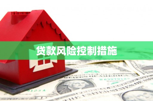 后龙贷款风险控制措施