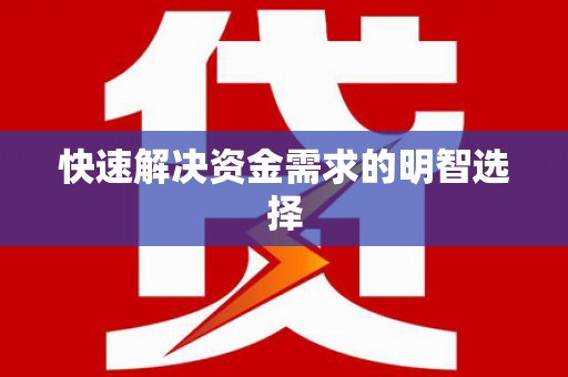 后龙快速解决资金需求的明智选择