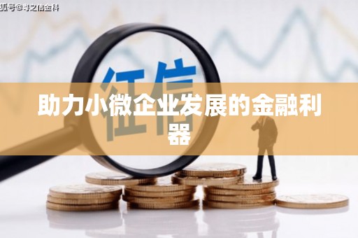 后龙助力小微企业发展的金融利器