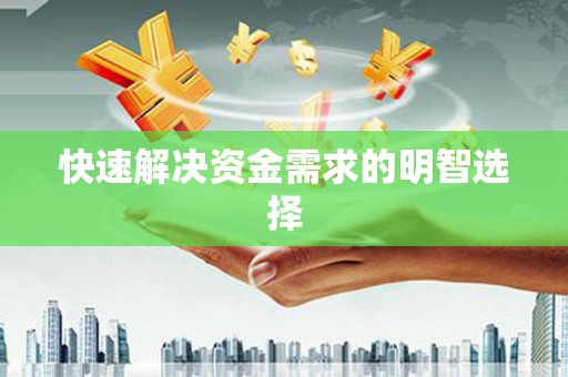 后龙快速解决资金需求的明智选择