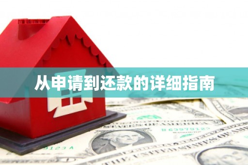 后龙从申请到还款的详细指南