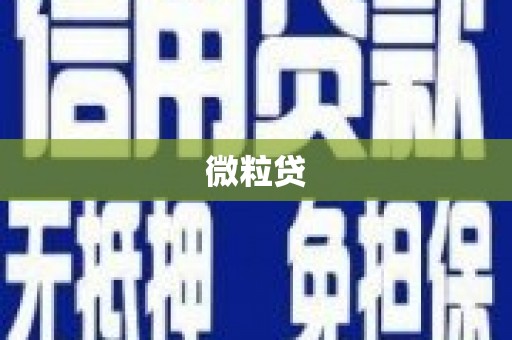 后龙微粒贷