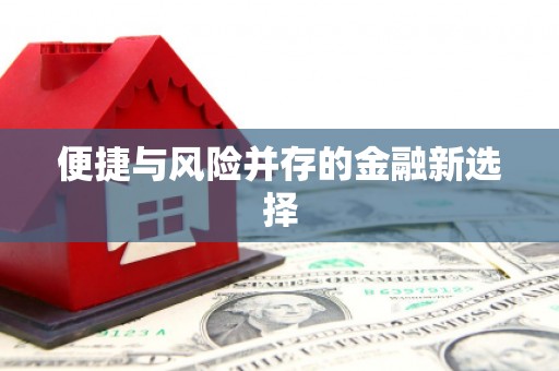 后龙便捷与风险并存的金融新选择
