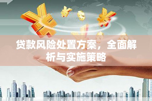 后龙贷款风险处置方案，全面解析与实施策略