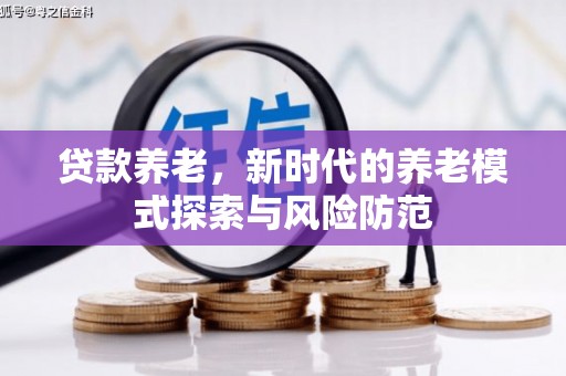 后龙贷款养老，新时代的养老模式探索与风险防范