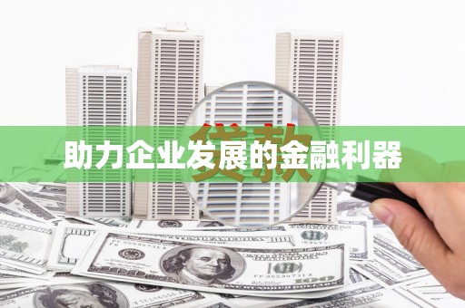 后龙助力企业发展的金融利器