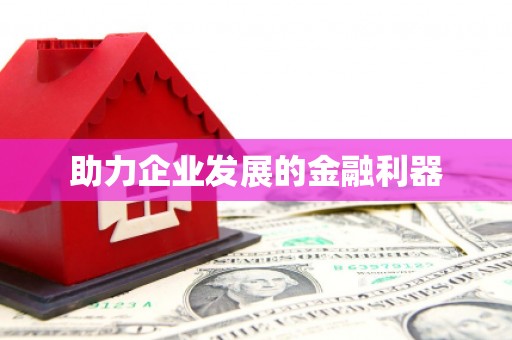 后龙助力企业发展的金融利器