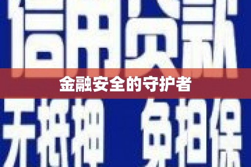 后龙金融安全的守护者