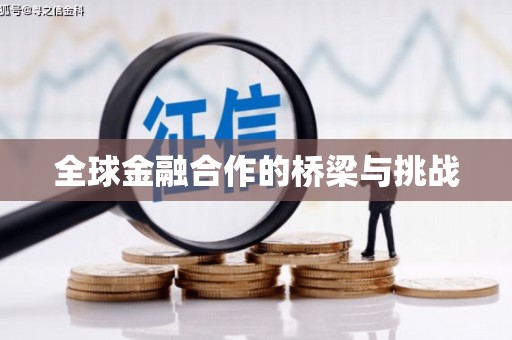 后龙全球金融合作的桥梁与挑战