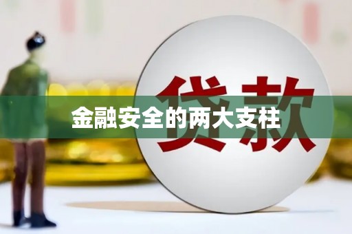 后龙金融安全的两大支柱